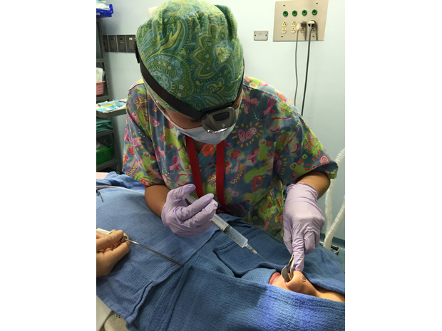 Dr. Ho has volunteered on several medical and surgical mission trips