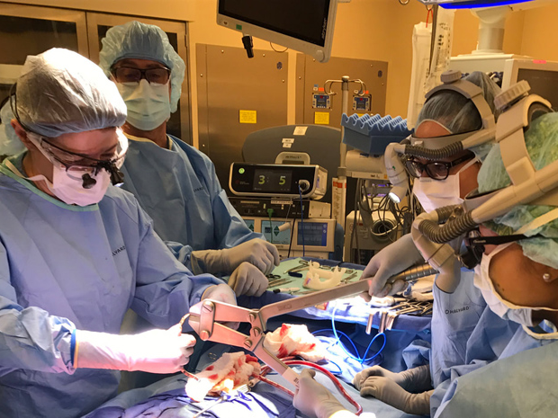 Dr. Ho completed a five-year residency
